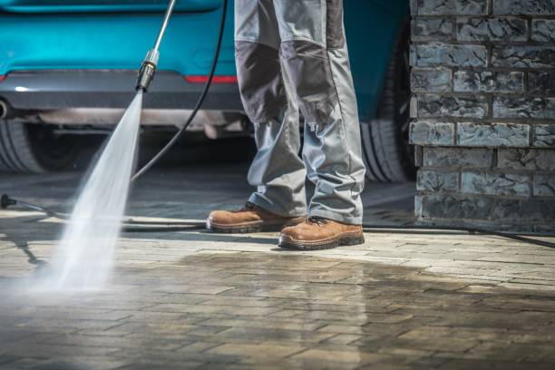 Best Dumpster Area Cleaning  in Rainbow Lakes, NJ