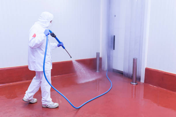 Best Driveway Pressure Washing  in Rainbow Lakes, NJ